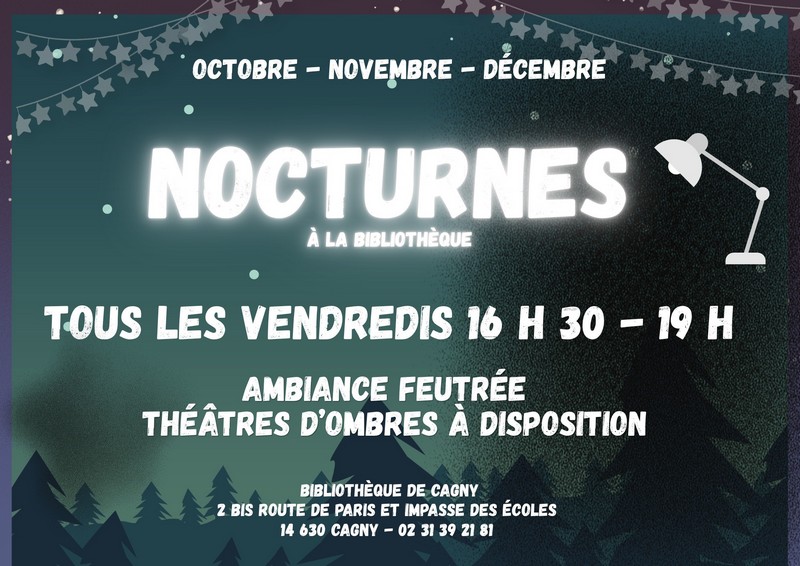 programme bibliothèque