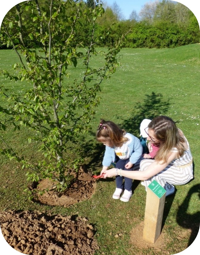 Arbre pour des naissances