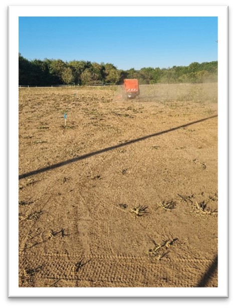 Terrain de foot