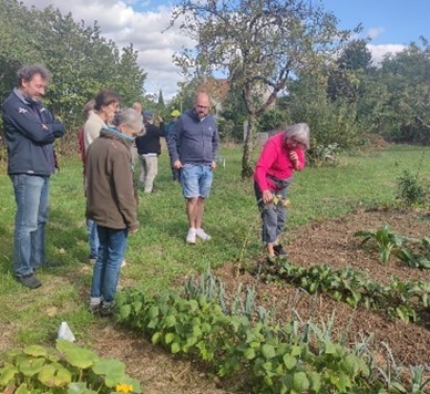 Jardin partagé