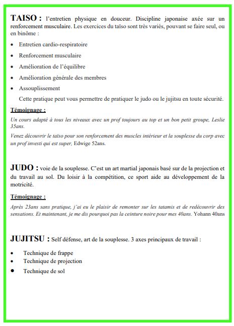 Flyer judo