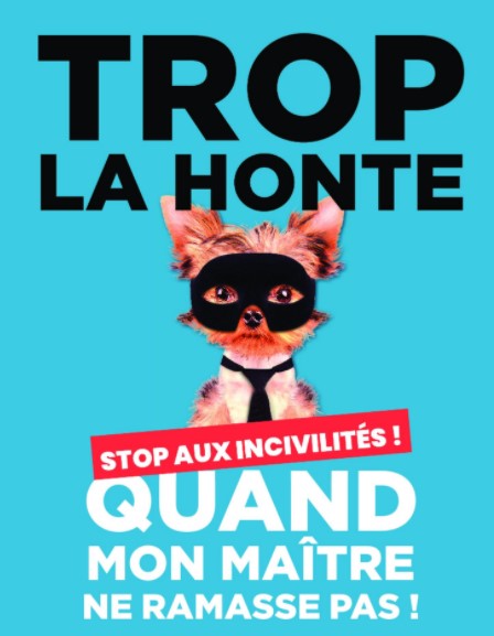 Déjections canines