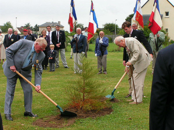 Plantation hommage