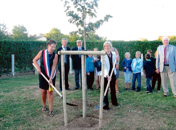 Arbre de l'amitié