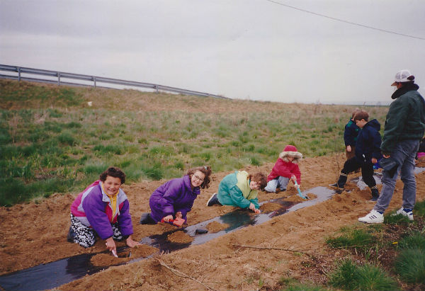 Plantation arbres Cagny