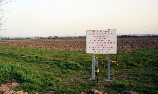 Plantation du Petit Bois