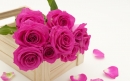Roses