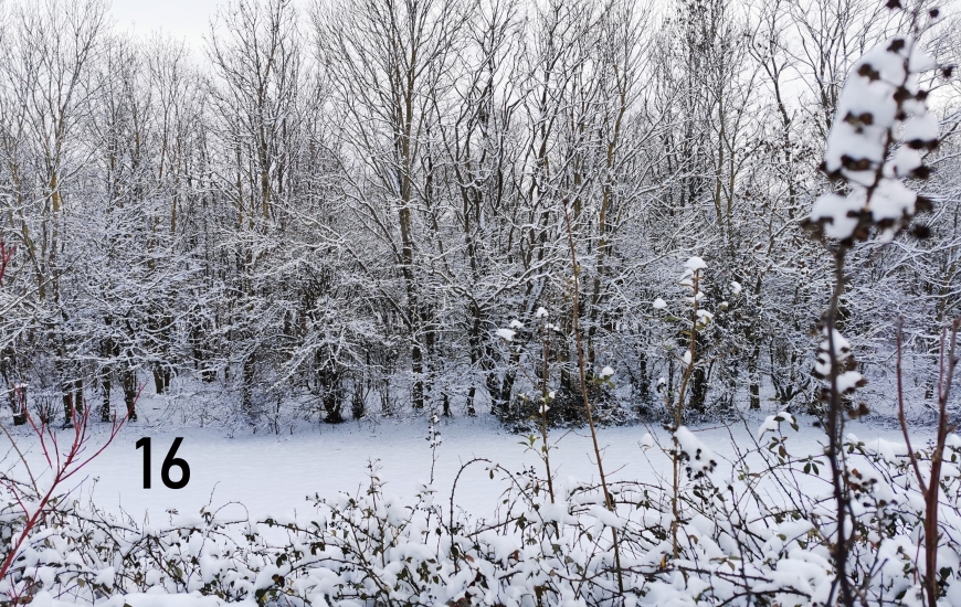 Cagny sous la neige