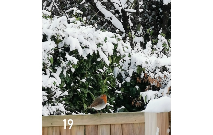 Cagny sous la neige