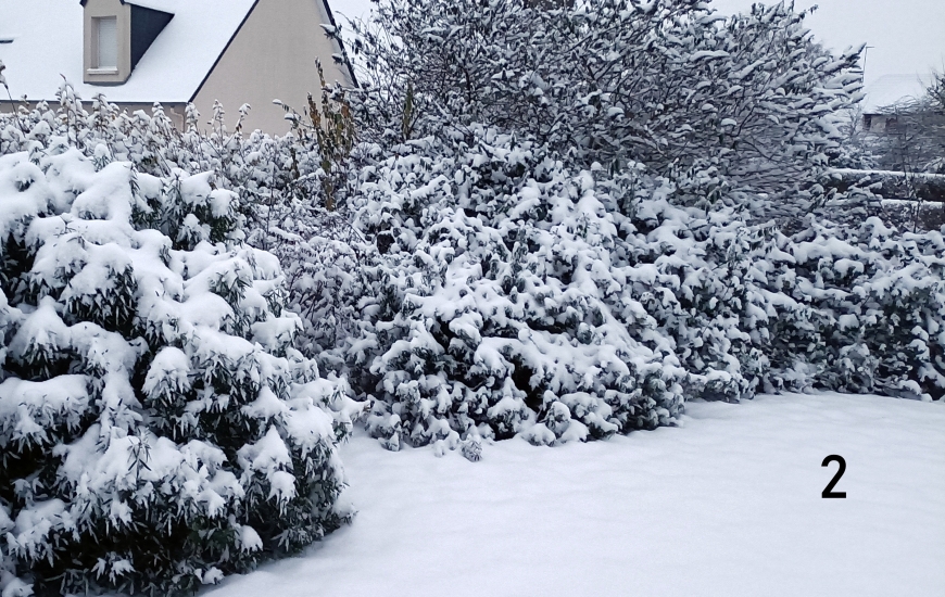 Cagny sous la neige