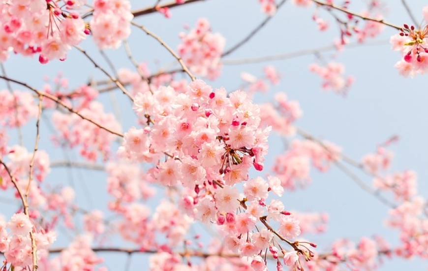 Printemps
