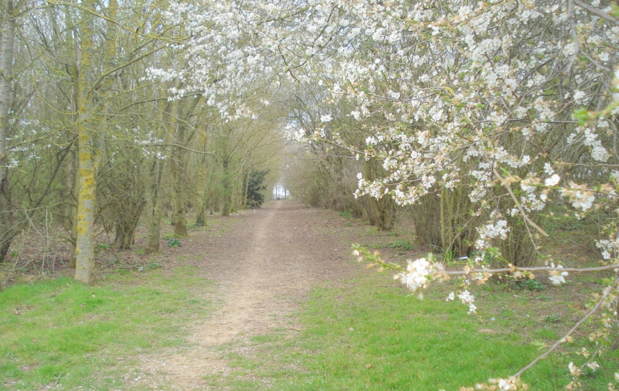 La commune en photos