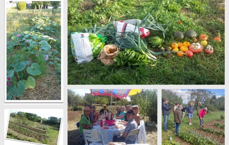 Jardin partagé Jardin partagé