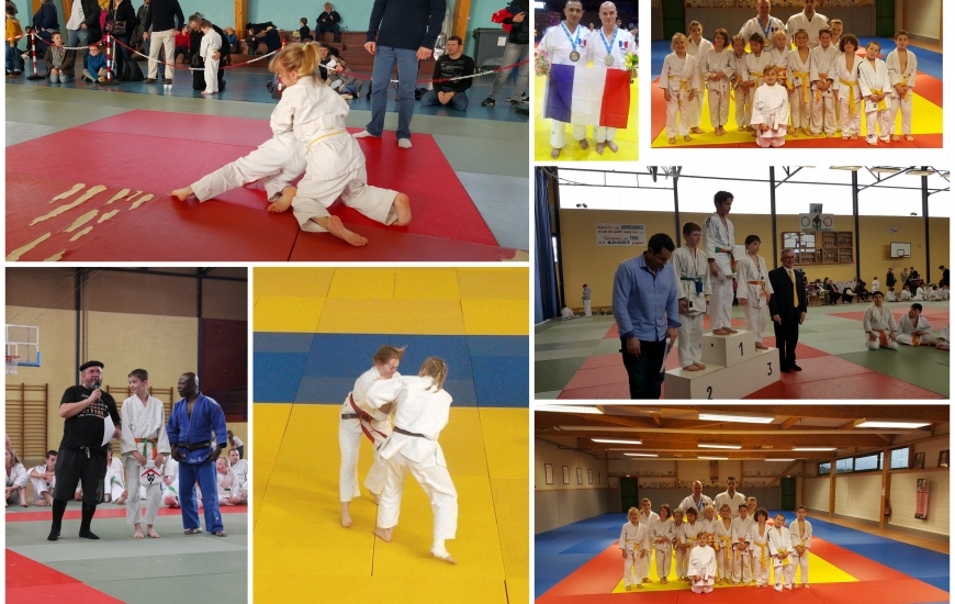 Judo Judo