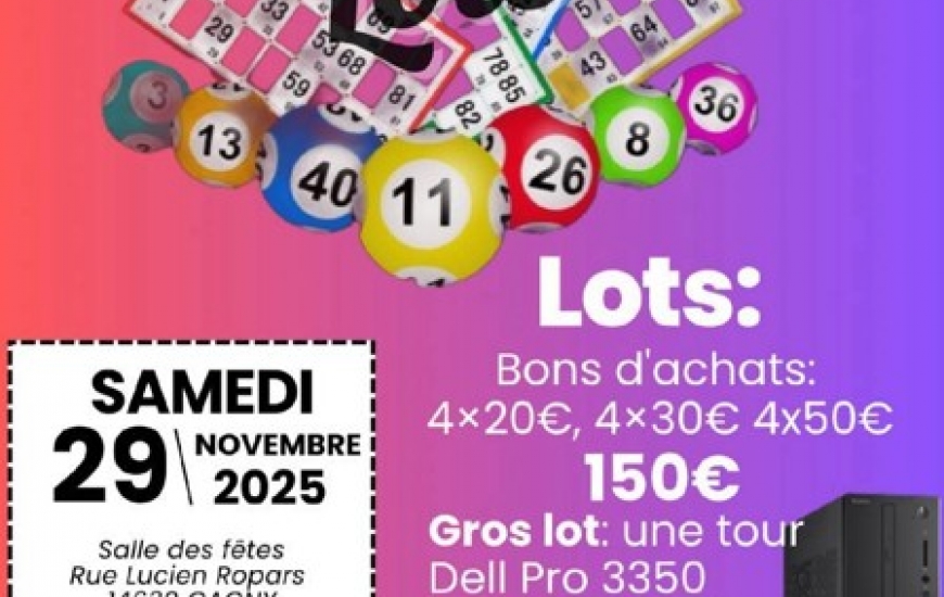 Loto Judo