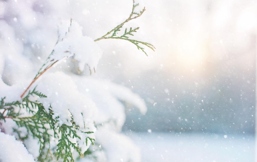 Hiver