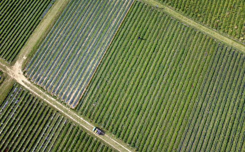 Cagny photographie aérienne par cerf-volant / Fabien Potel www.airkapture.fr