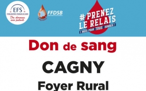 Don de sang