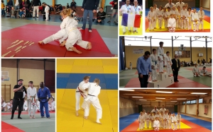 Section judo