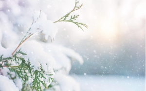 Hiver